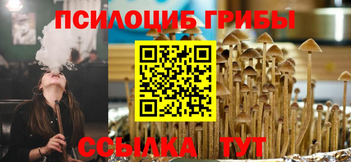 Галлюциногенные грибы прущие грибы  Вход с VPN  Семёнов 